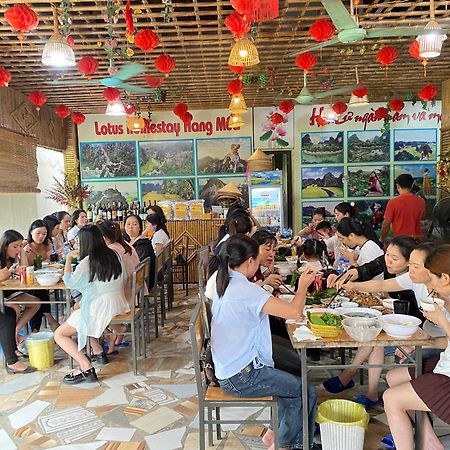 Hang Mua Lotus Homestay Ninh Binh Luaran gambar