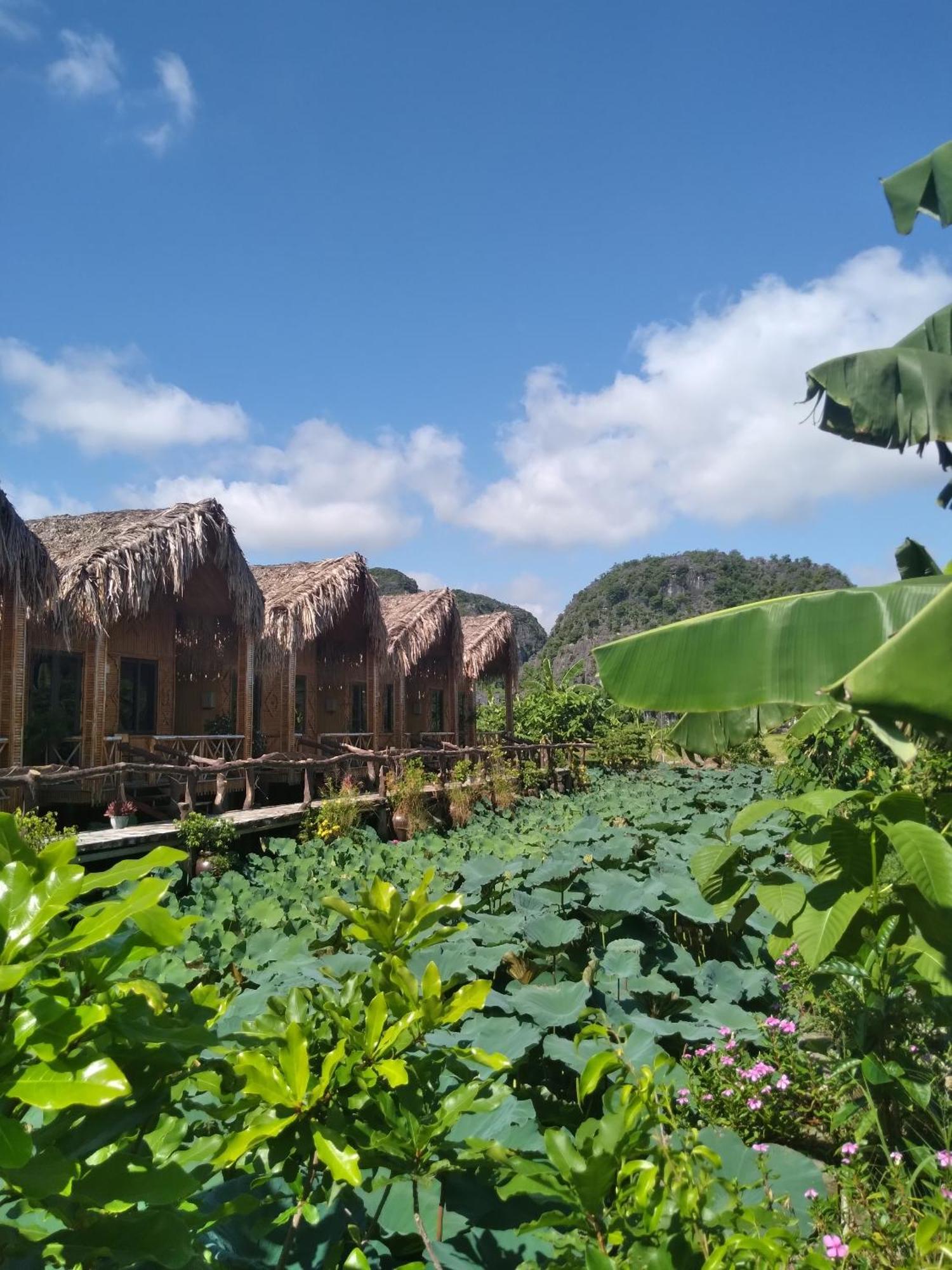Hang Mua Lotus Homestay Ninh Binh Luaran gambar